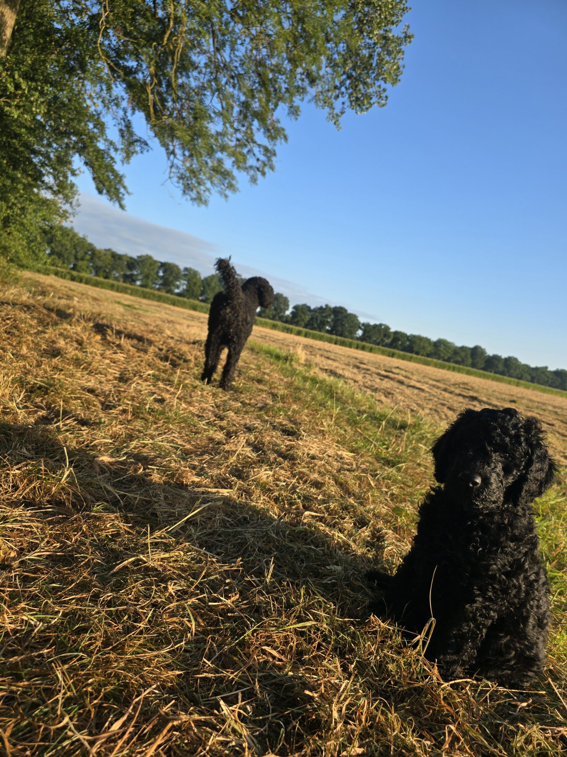 Spaziergang mit Mama