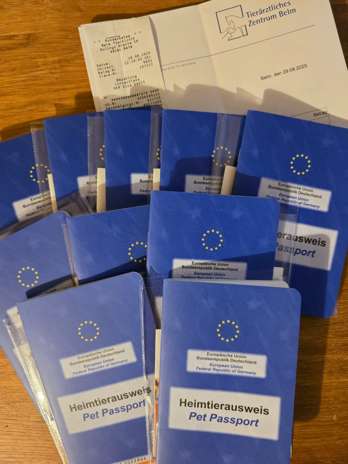 Heute waren wir beim Tierarzt