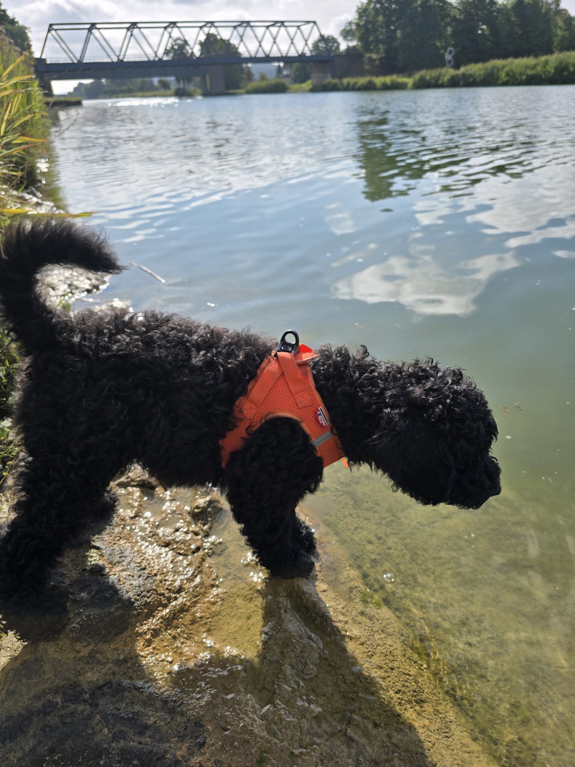 Ein Ausflug für Yeshe