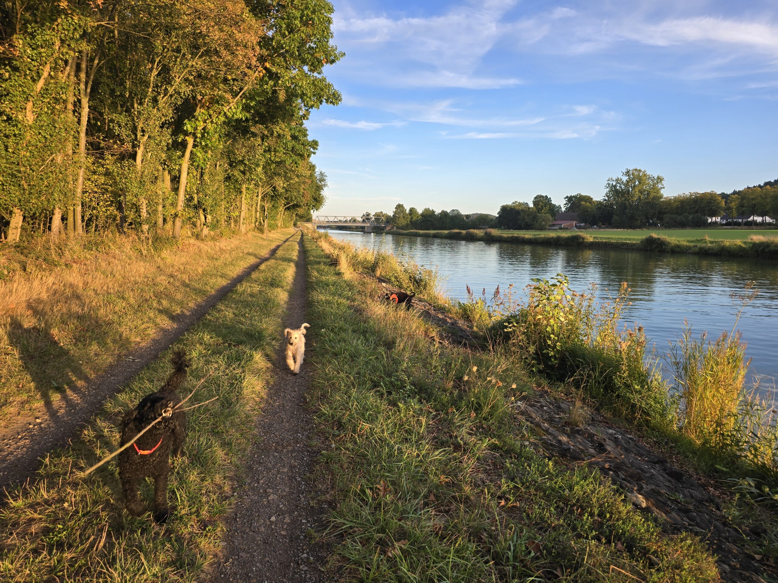 Kanalspaziergang für Nuri und Juno
