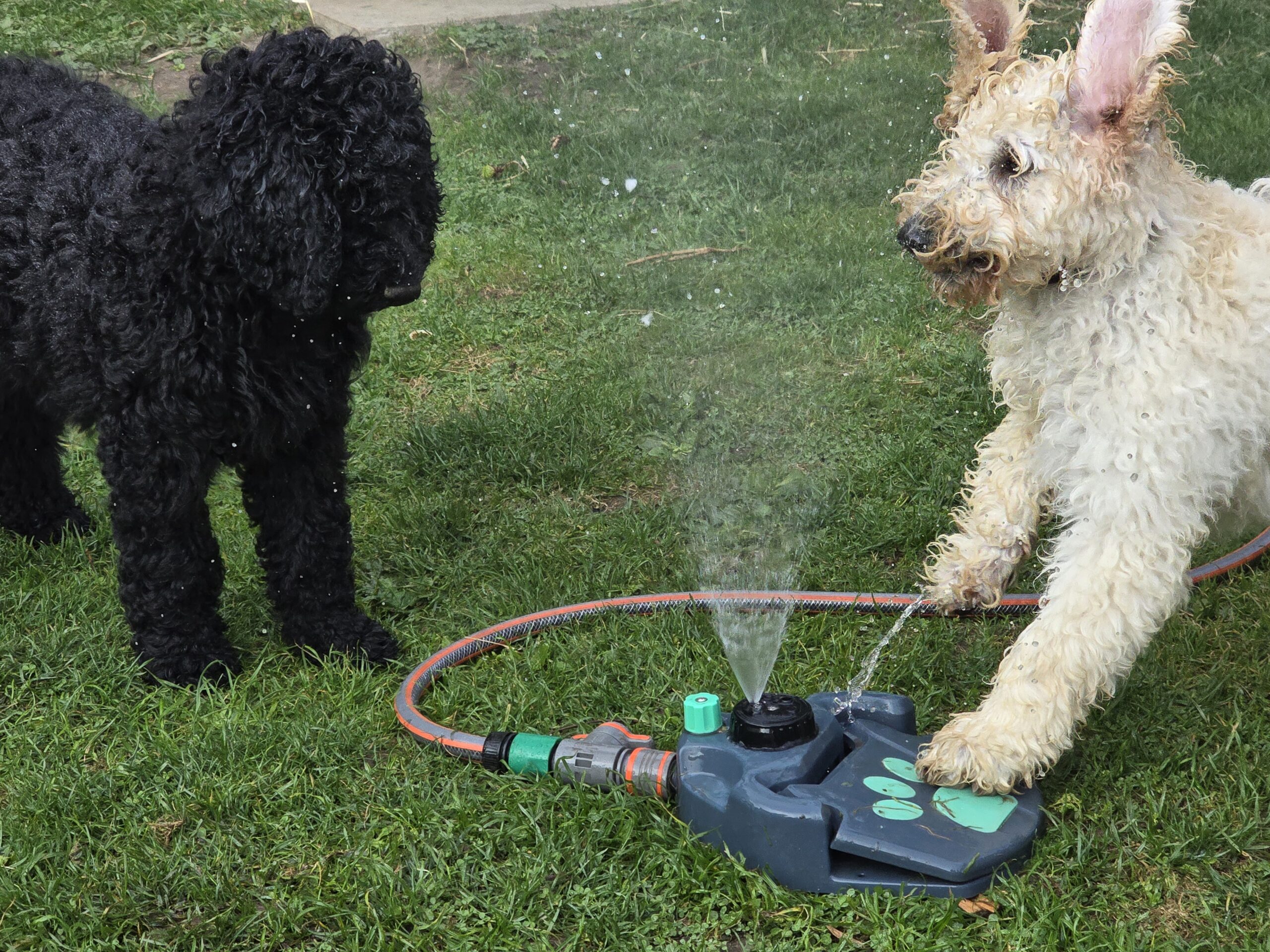 Willkommene Abkühlung