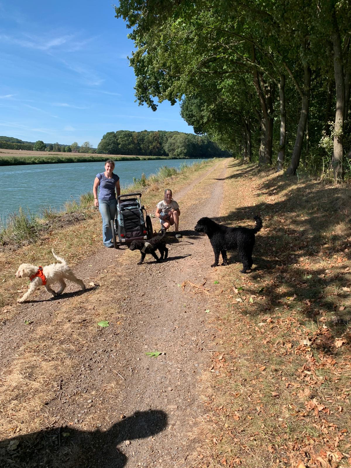 Ein großer Spaziergang