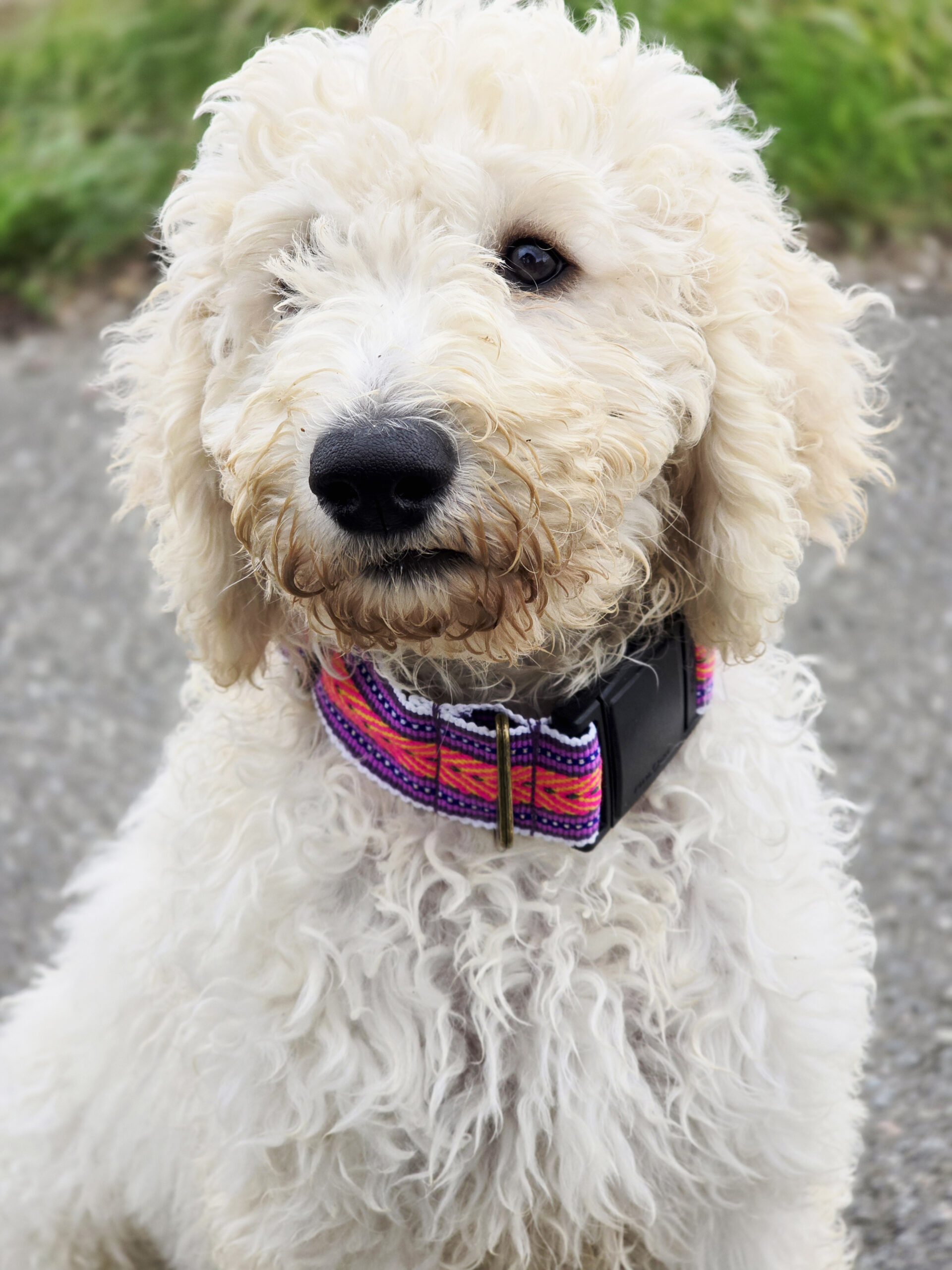 Bis bald Nola (Juno)…