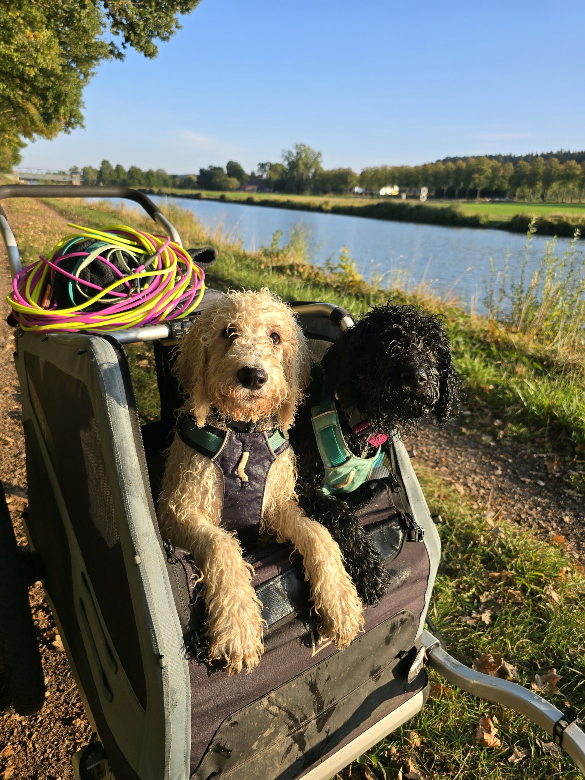 Da waren es nur noch zwei…